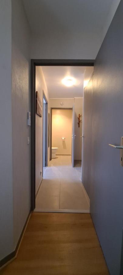 Apartment T2 Standing Confort Avec Balcon - Parking En Option Lyon