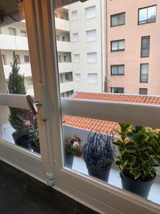 Apartamento Cocooning Et Refait A Neuf. 06 Lyon