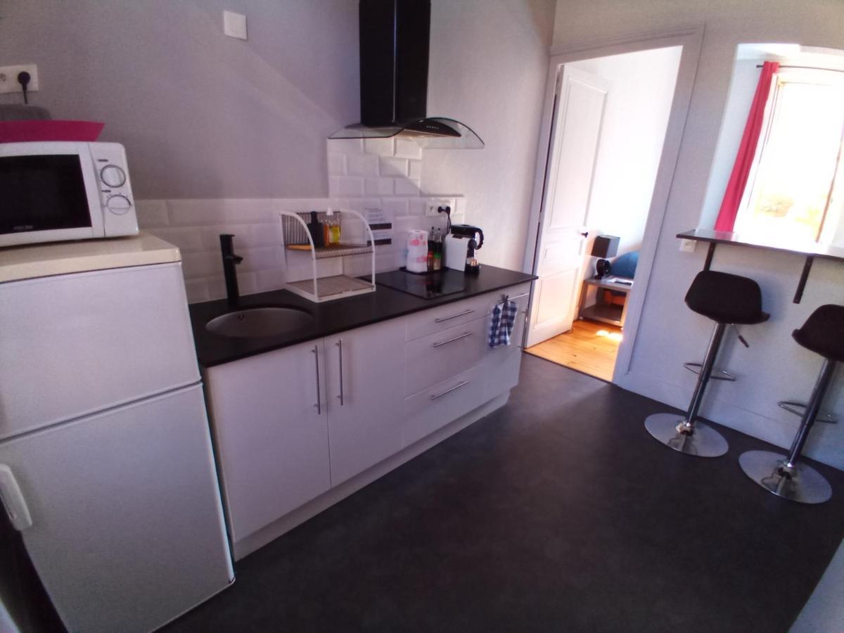 Studio Calme Avec Jardin, Tram T6 Et Metro D, Lyon 8 Appartement *