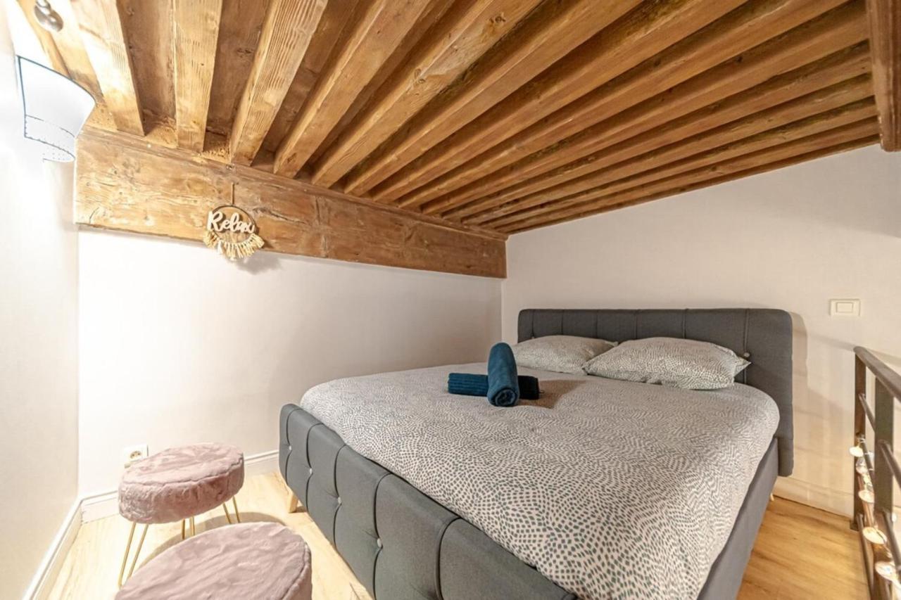 Apartment Le Petit Platiere - Renovated - Terreaux