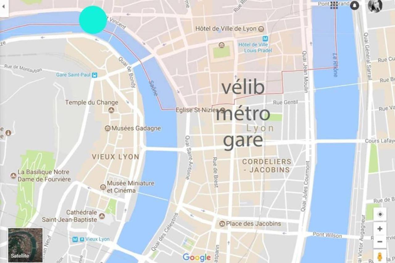 Haussmannien D'artiste, Exception, Quai De Saone Balcon+parking * Lyon