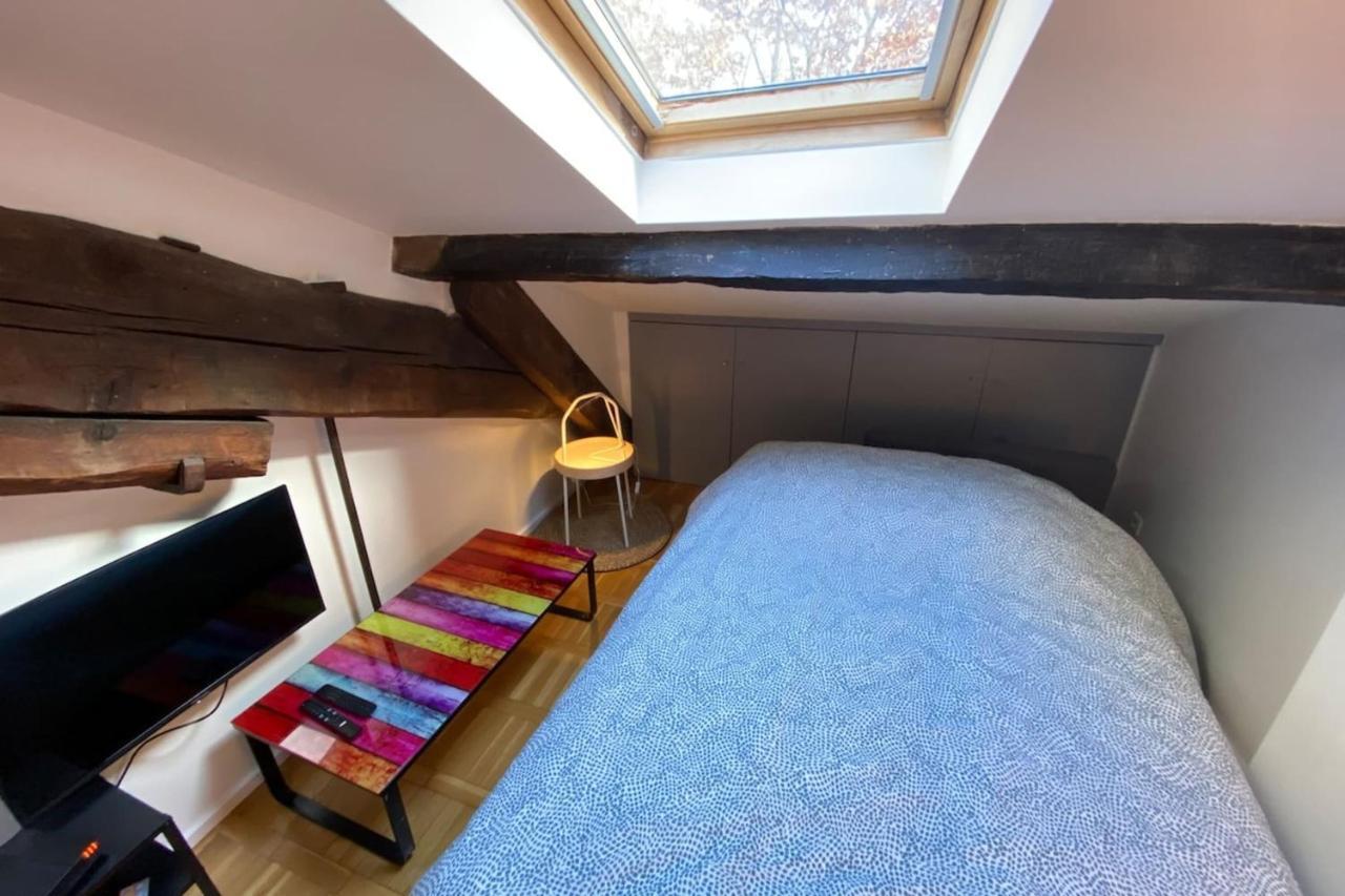 Apartamento Le Petit Arloing-studio Quais De Saone Vaise