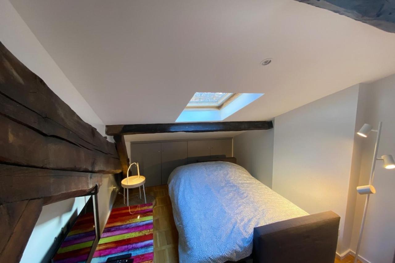 Le Petit Arloing-studio Quais De Saone Vaise Apartamento Lyon
