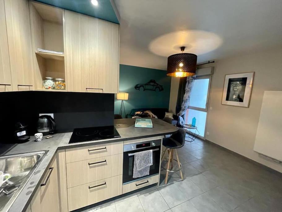 Elegant 45 M2 6 + Garage. Idealement Situe * Lyon