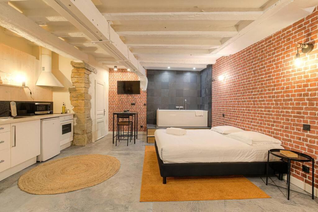 Industrial-style With Bathtub, Vieux-lyon Apartment