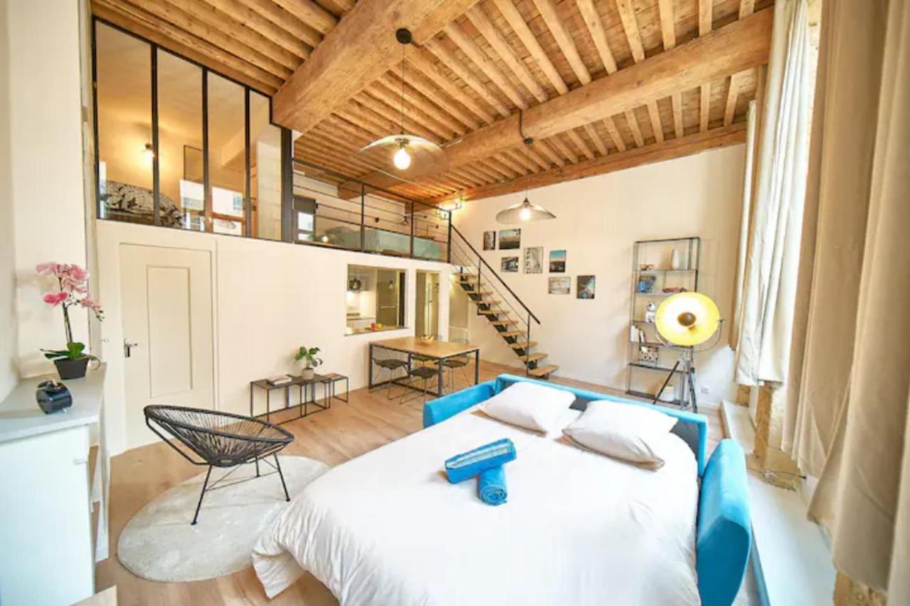 Apartment Le Chartreux -canut Lyonnais -croix Rousse Lyon