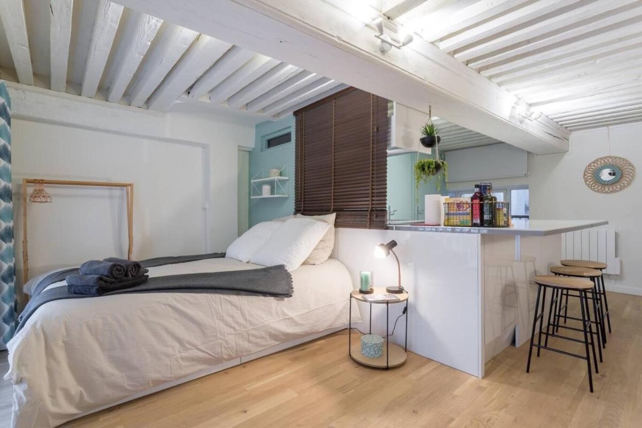 Appartement Elegant Loft - 4 People - Place Sathonay