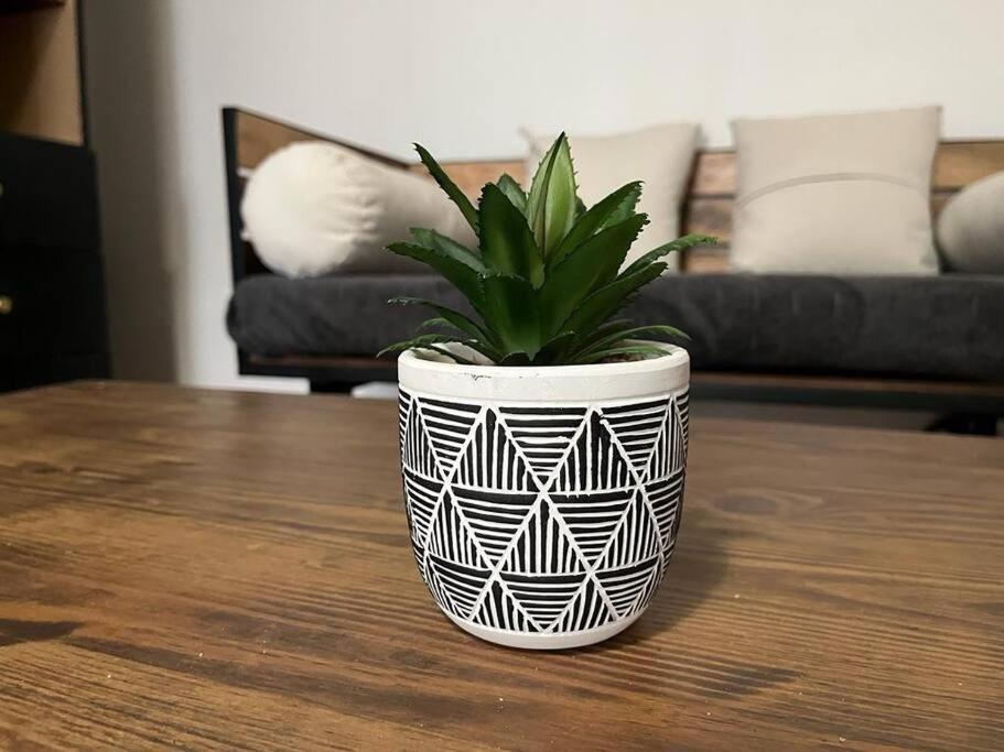 Suite Totem Apartment *