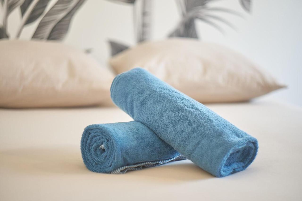 Apartamento Le Petit Villon- Maison De La Danse-montplaisir