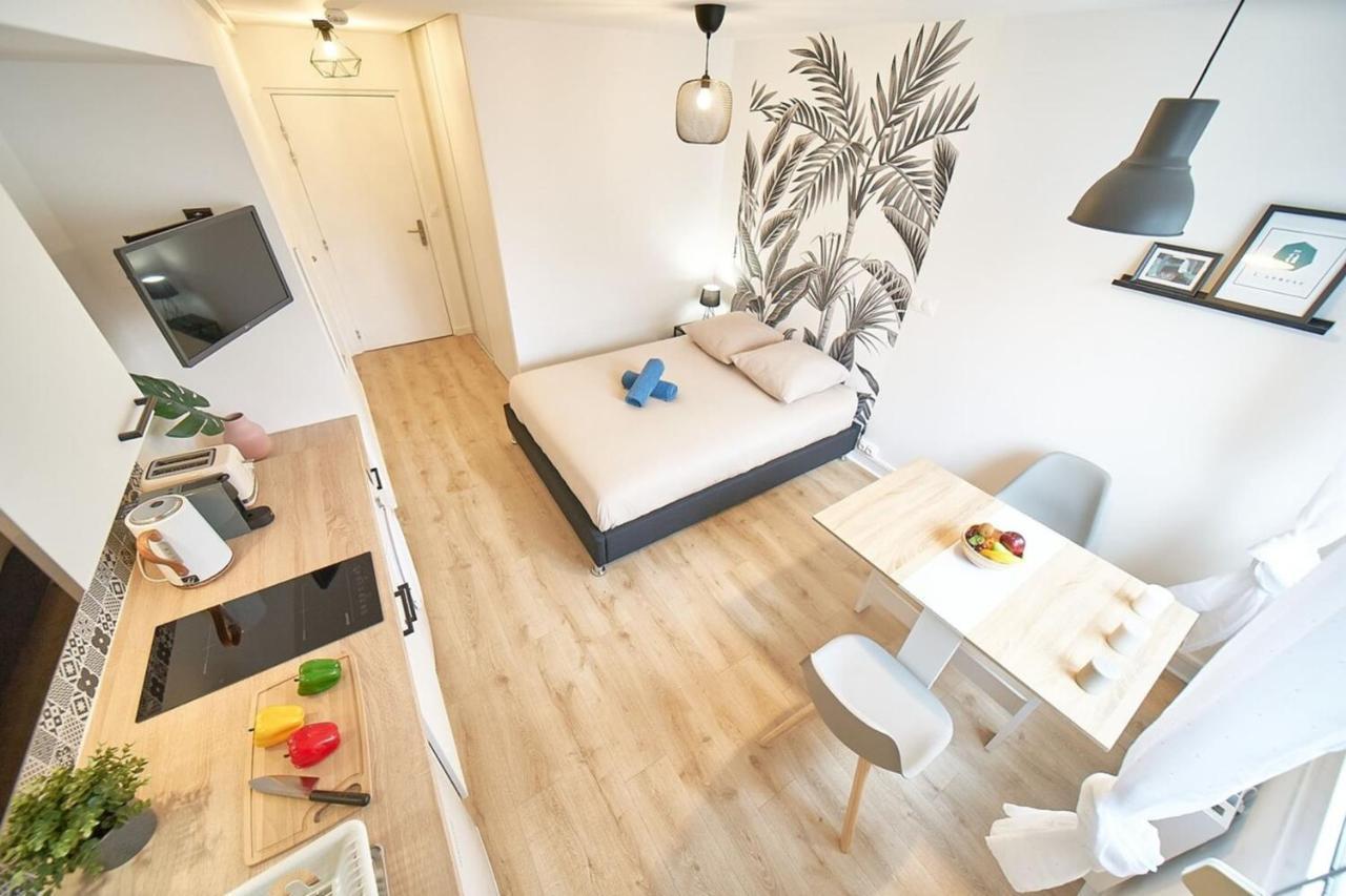 Le Petit Villon- Maison De La Danse-montplaisir Apartamento *