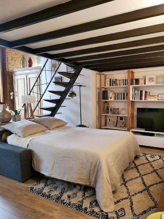 Authentic Loft With Mezzanine & Exposed Stones Heart Of Lyon Apartment