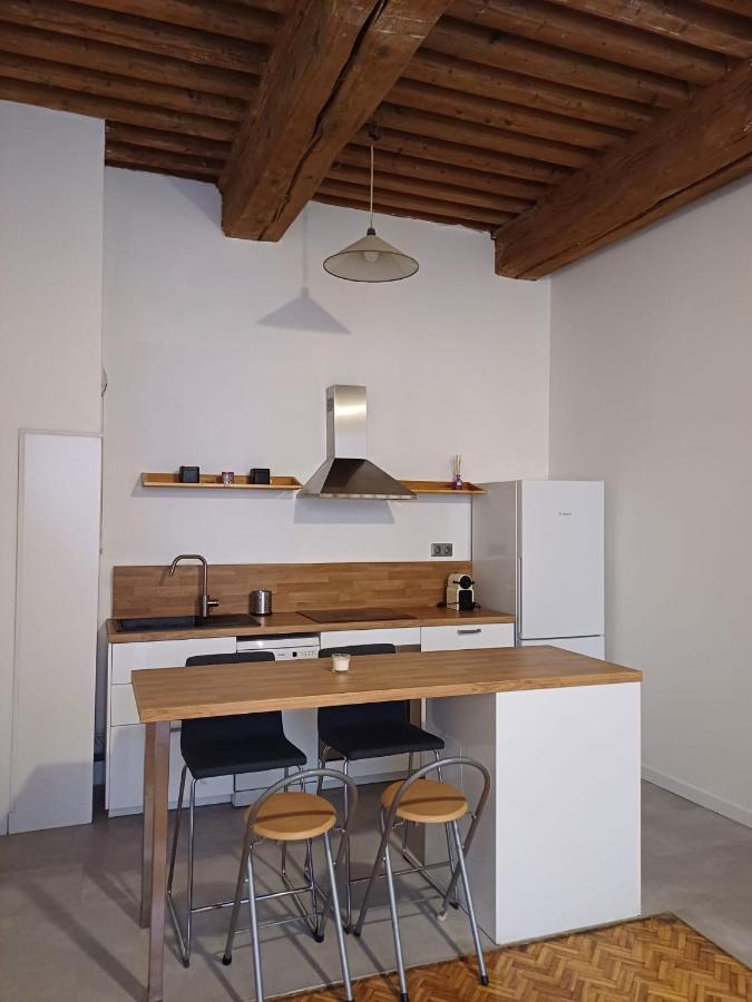 Old Town - Vieux -50 M2 Flat Lyon