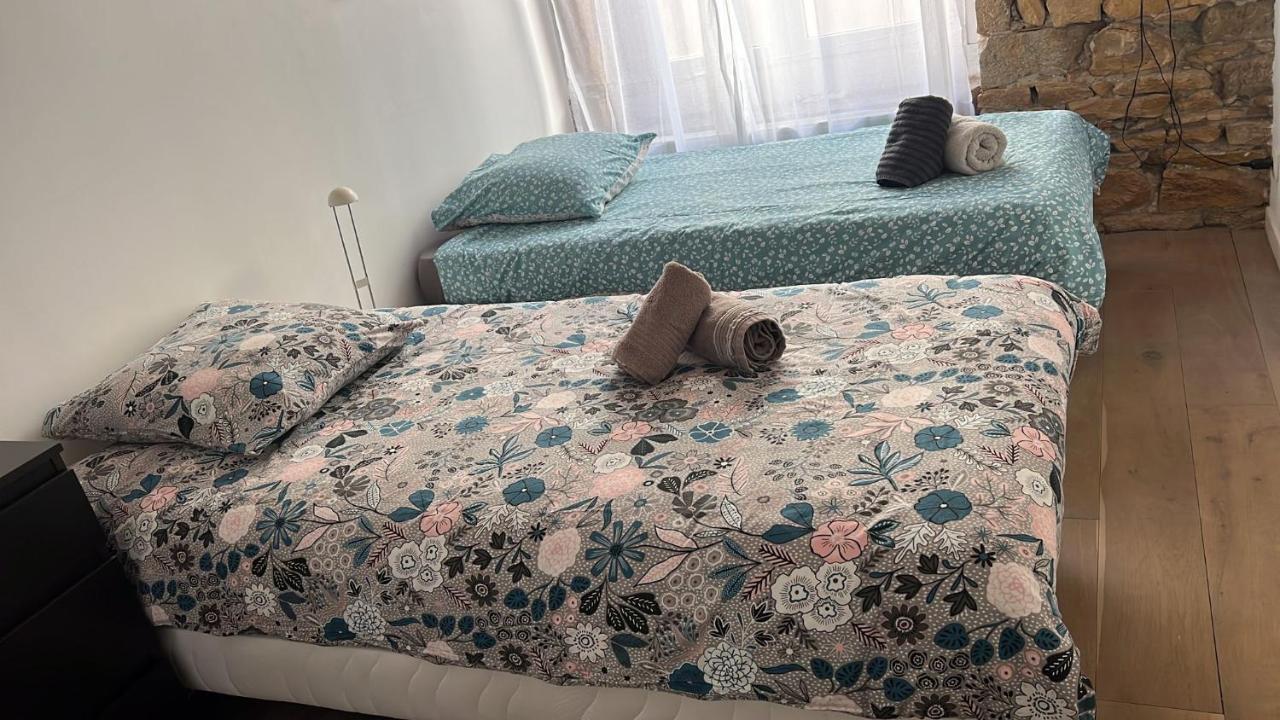 Apartment Superbe Coeur Croix Rousse