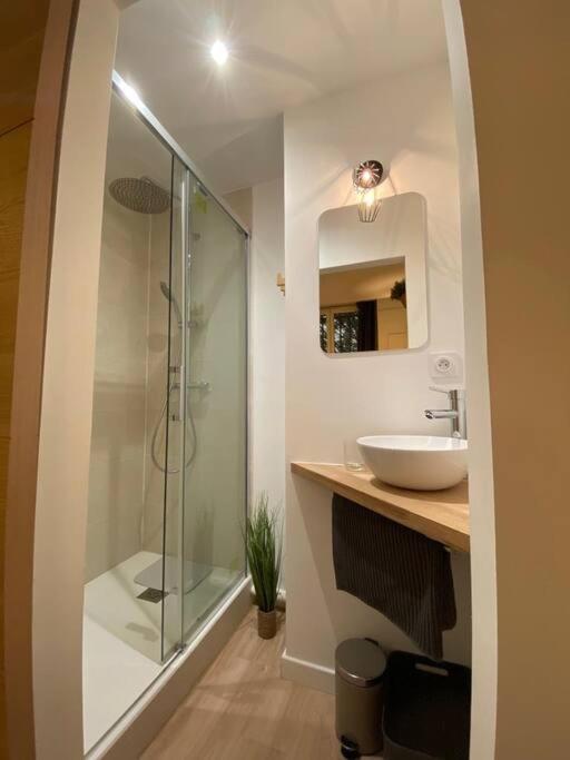 Cozy 1br+sofa Bed In Center Appartement *