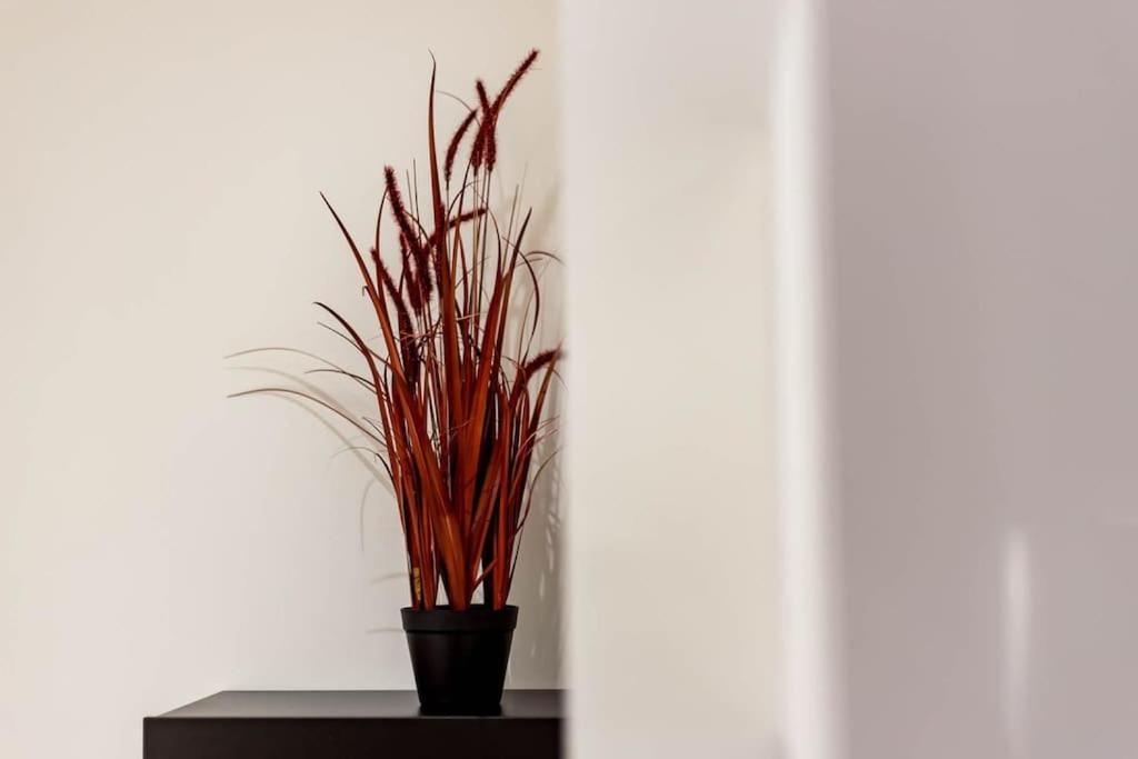 Appartement Quiet Center Ail *