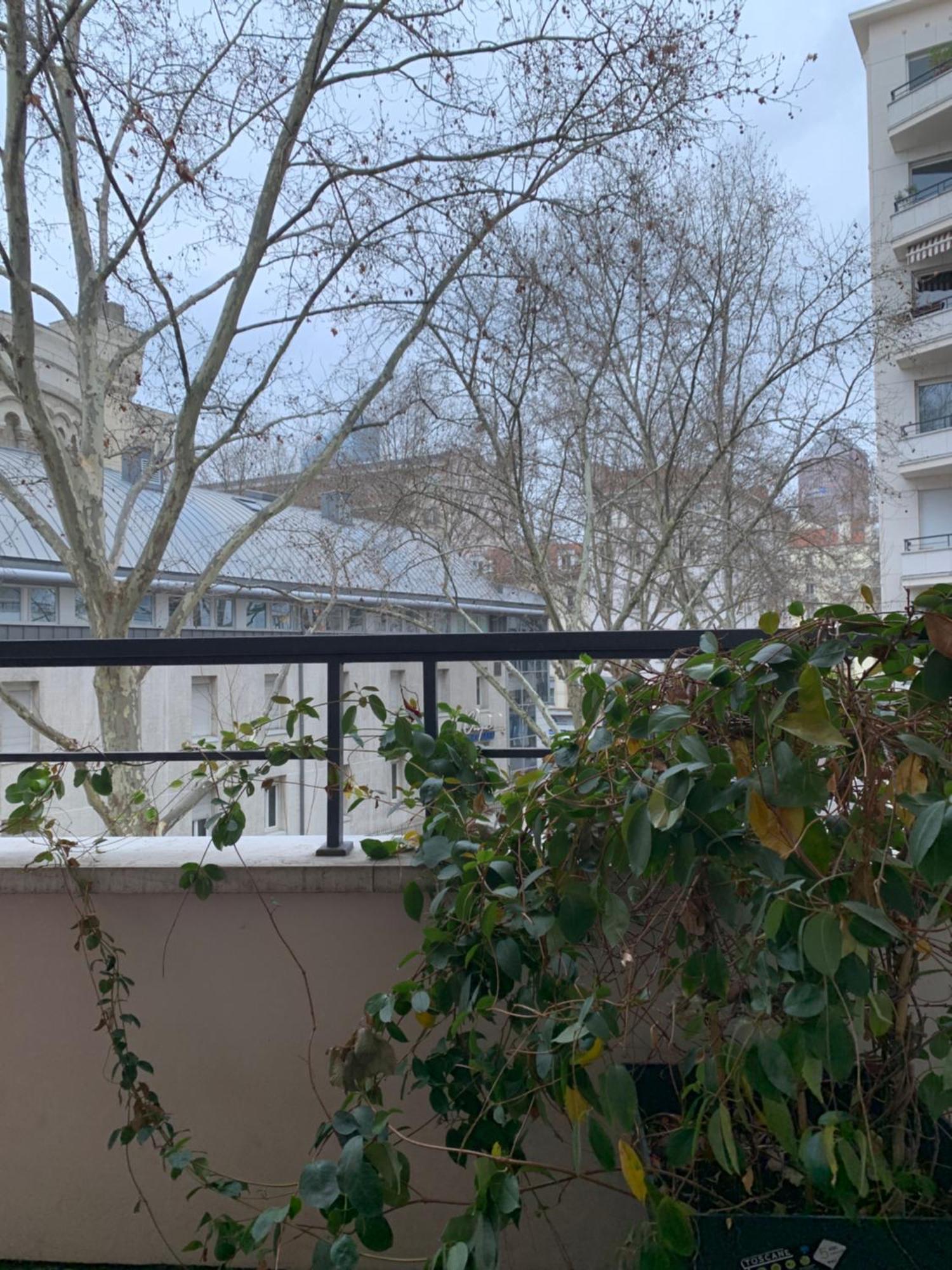 3 Triangle D'or Apartment