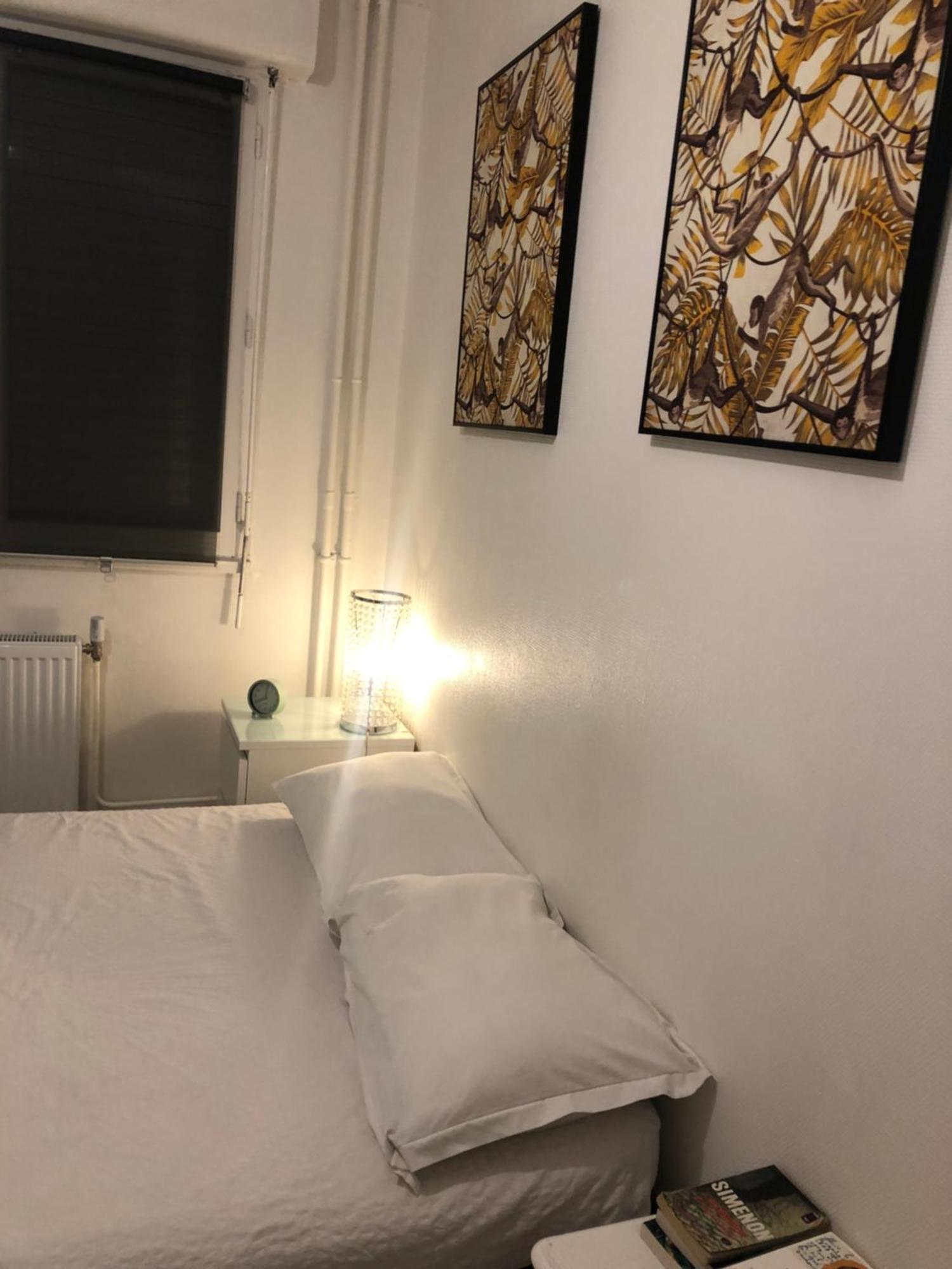 Fifa-lodge & Breakfast Homestay Lyon
