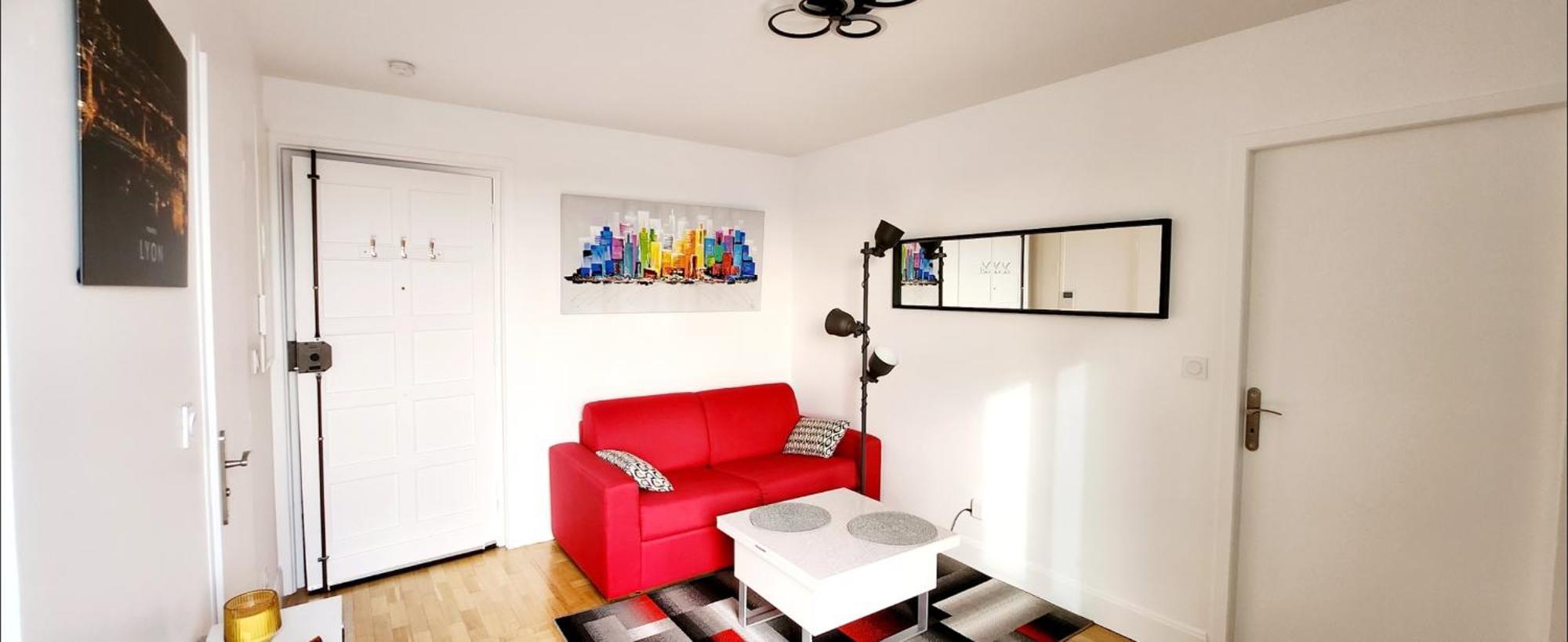 Plein Sud Terrasse Climatisation Garage Netflix Lyon