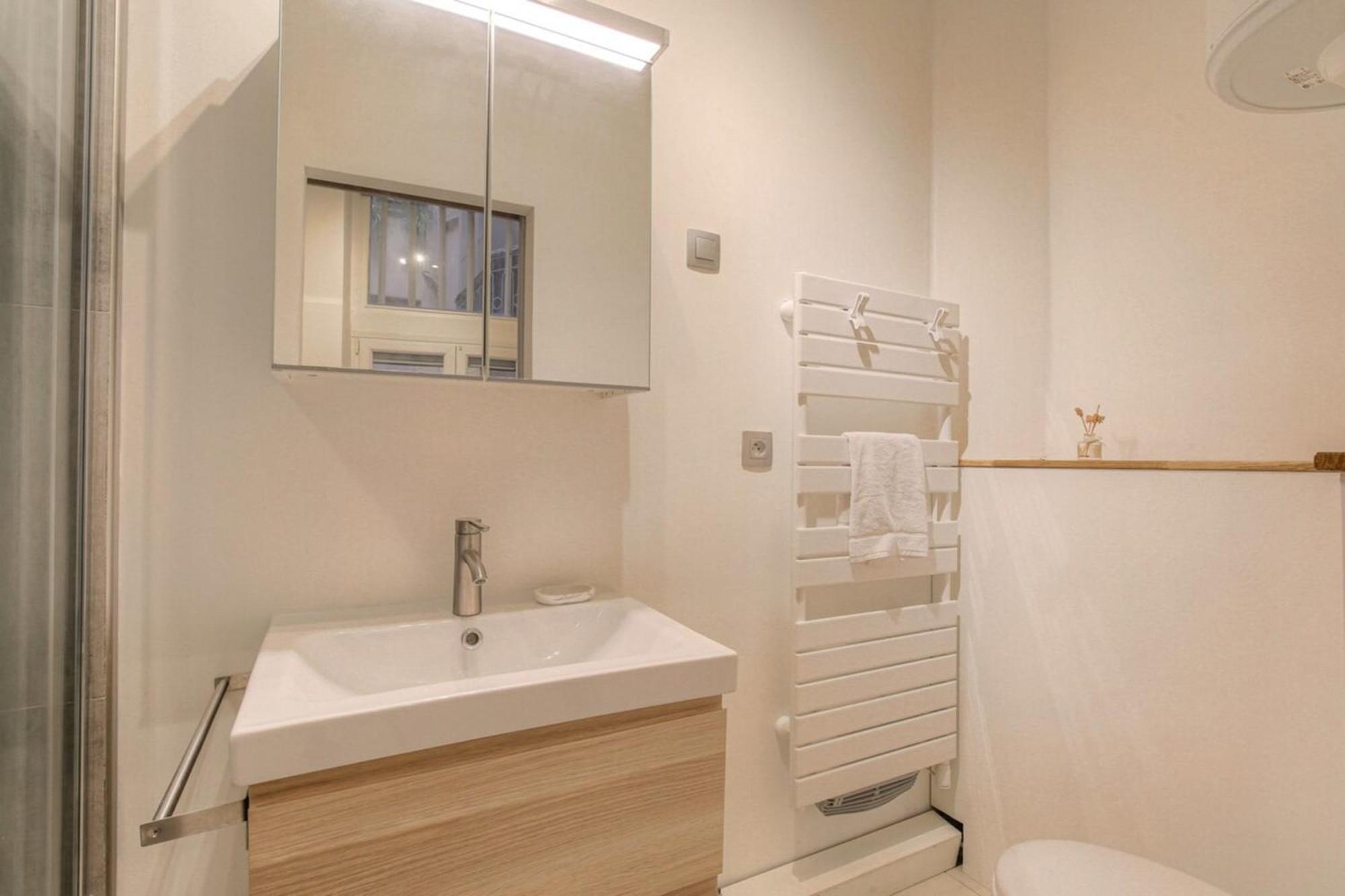 Duplex De Caractere En Hypercentre Appartement Lyon