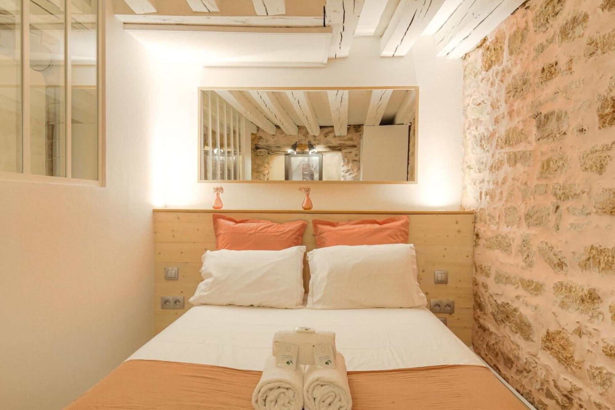 Duplex De Caractere En Hypercentre Appartement Lyon