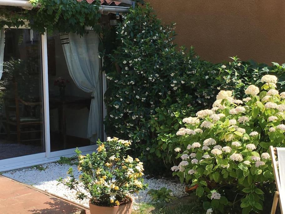 Appartement Studio Close Fourviere Very Quiet & Small Terrace *