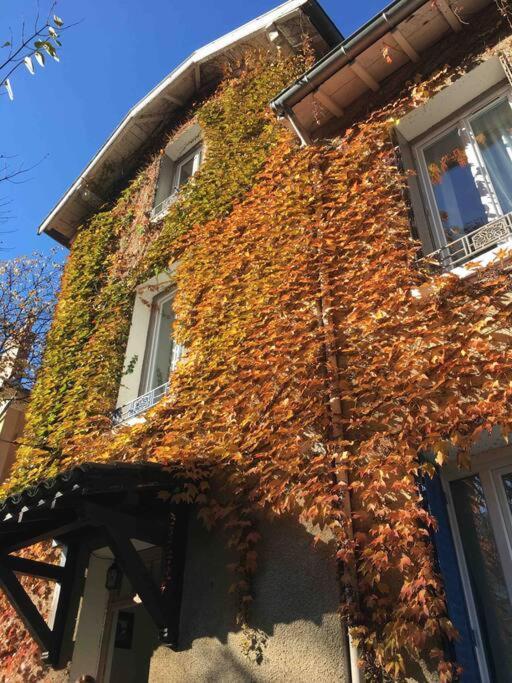Studio Close Fourviere Very Quiet & Small Terrace