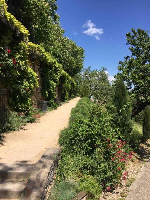 Appartement Studio Close Fourviere Very Quiet & Small Terrace *