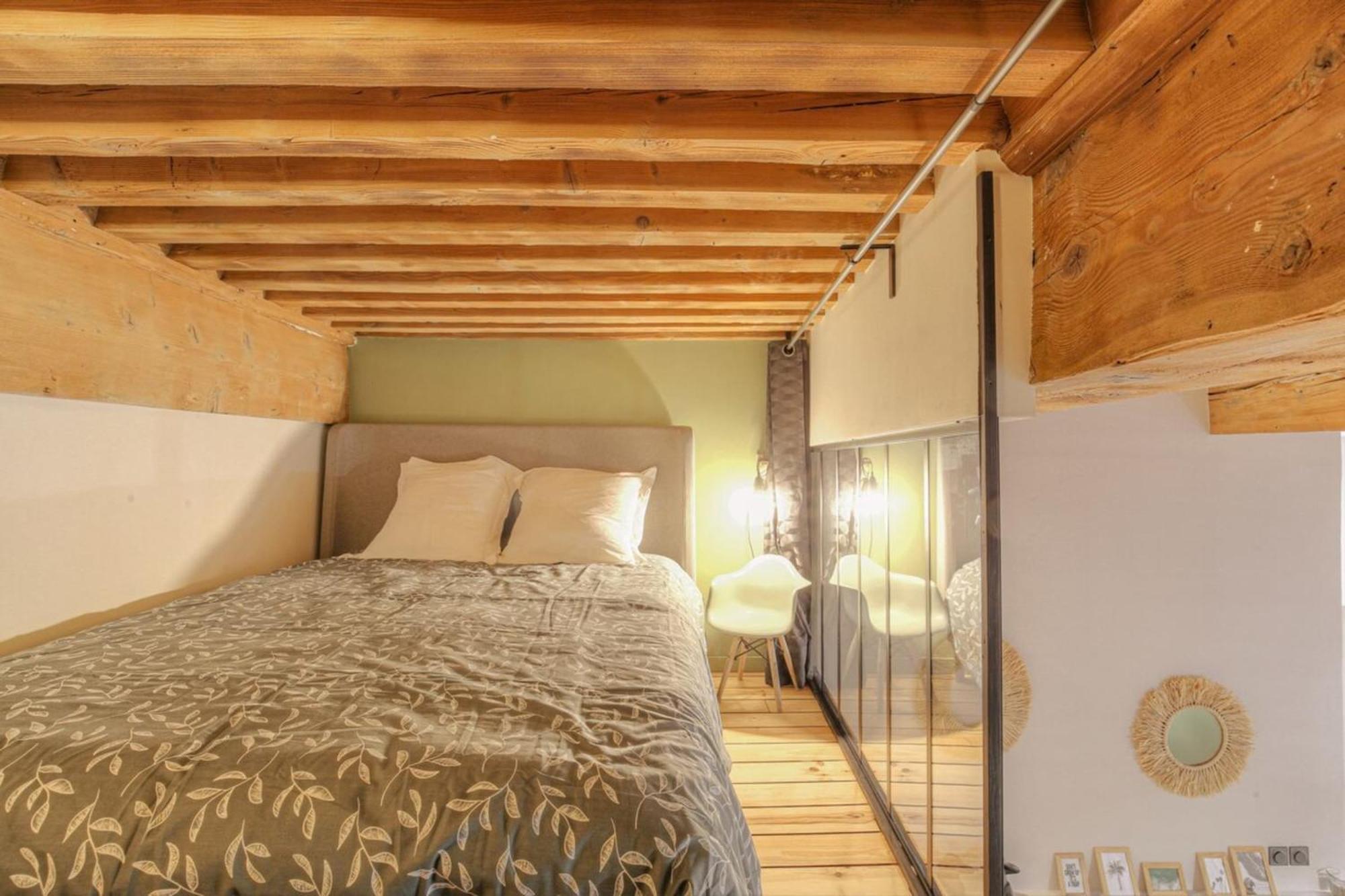 Le Raffine Avec Caractere En Hypercentre Apartment *