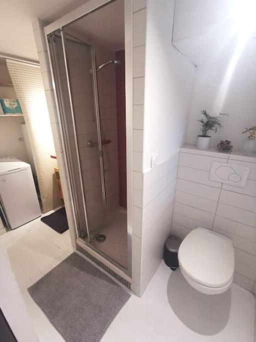 Joli T2 De 37m2 Style Loft Prox Gare Metro Apartment Lyon