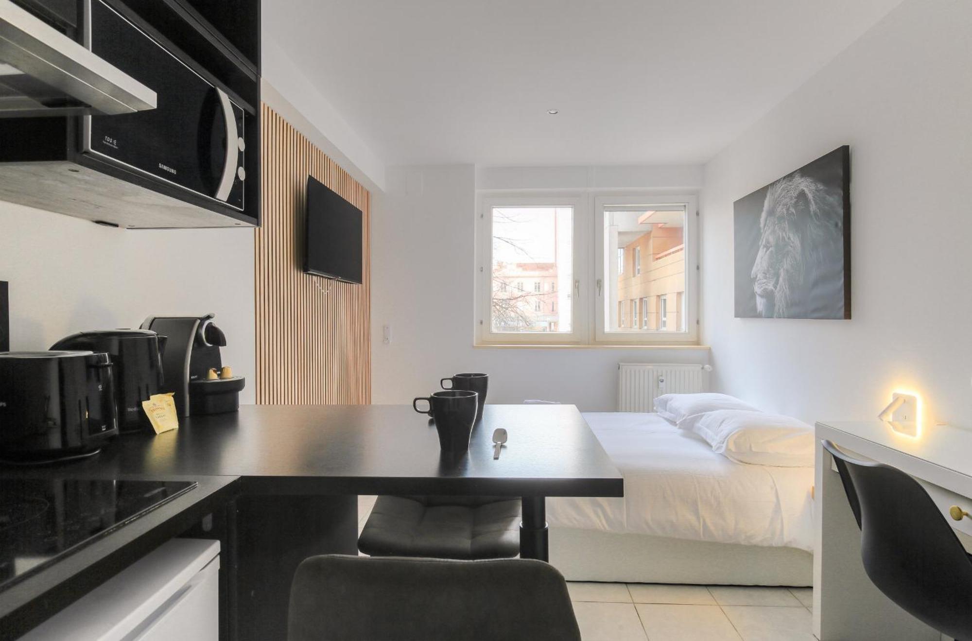 Apartment Lionne-stade Du Lou *