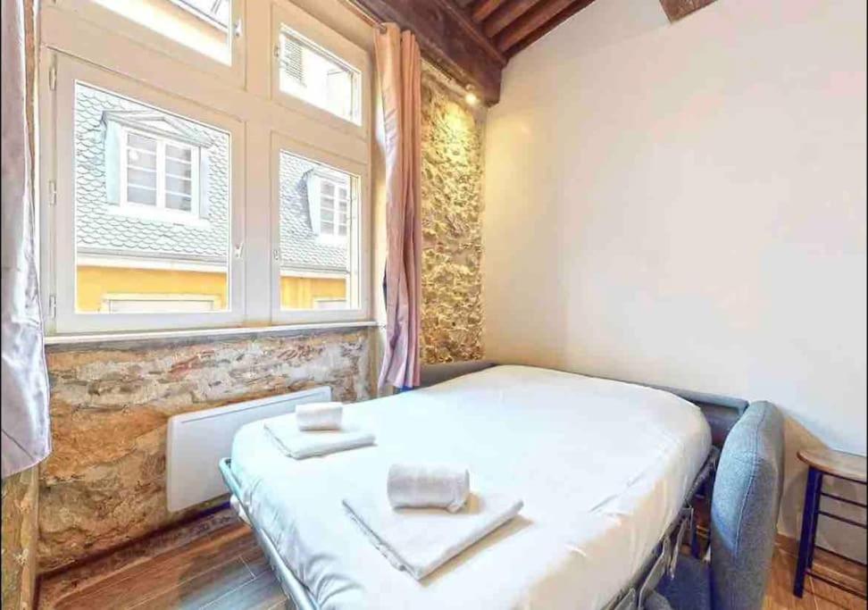 Apartment Petit Pierre - Hyper Centre - Place Jacobins Lyon