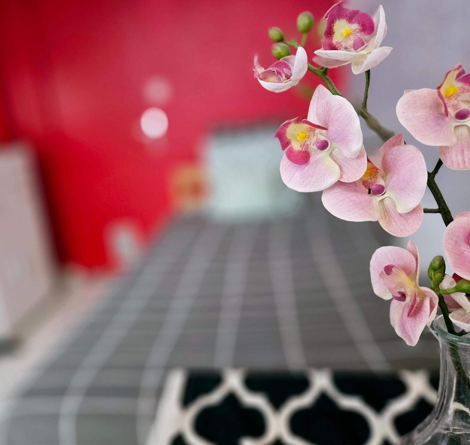 Apartment Le Canut Duviard - Proche Metro Croix-rousse Lyon