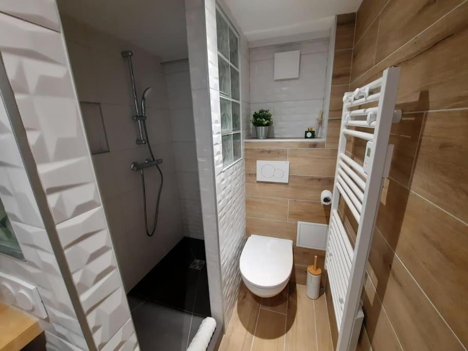 Pentes De La Croix-rousse Le D'or Appartement *