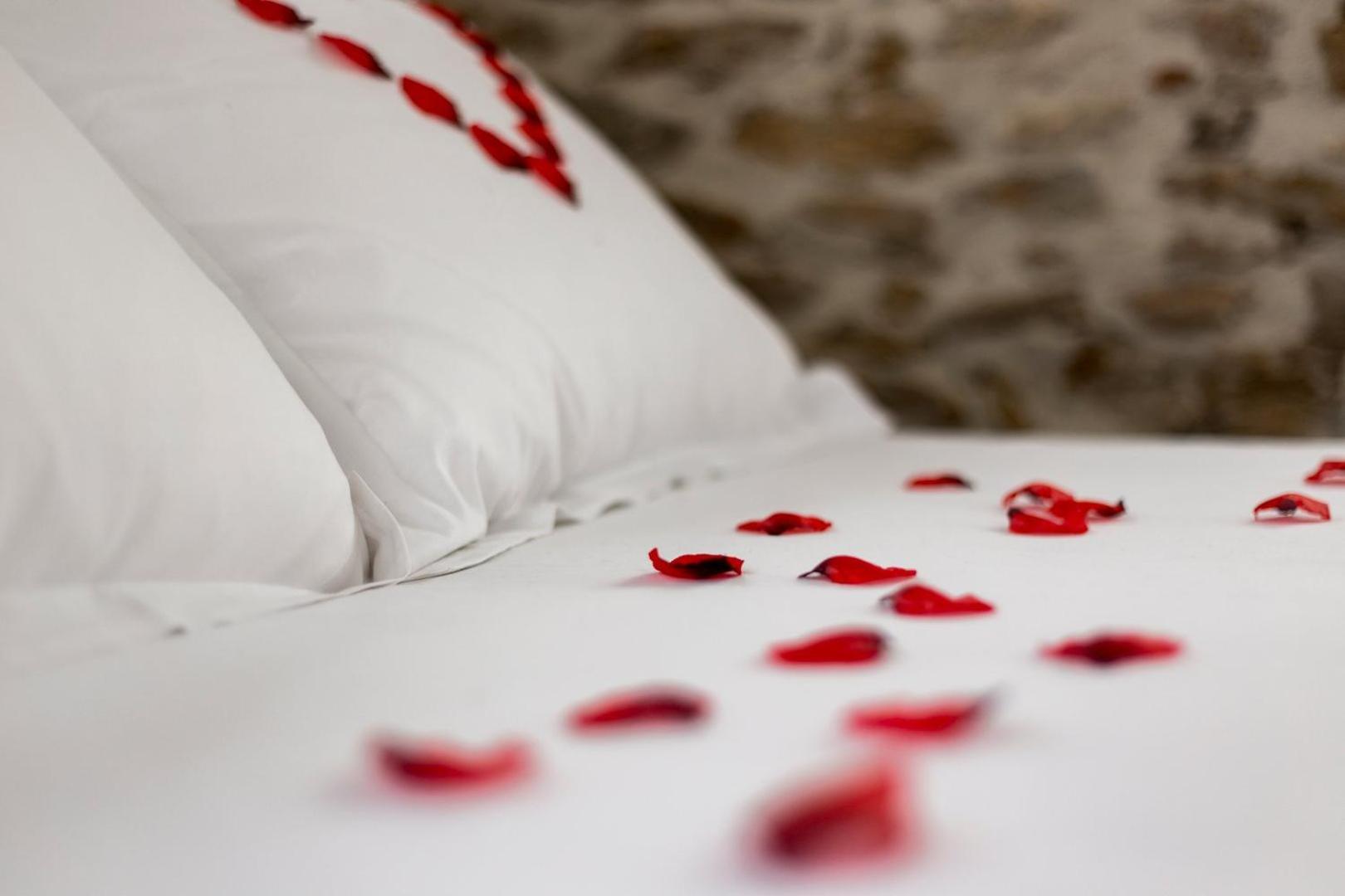 Sky'room - Jacuzzi & Vue - Vieux Apartment *