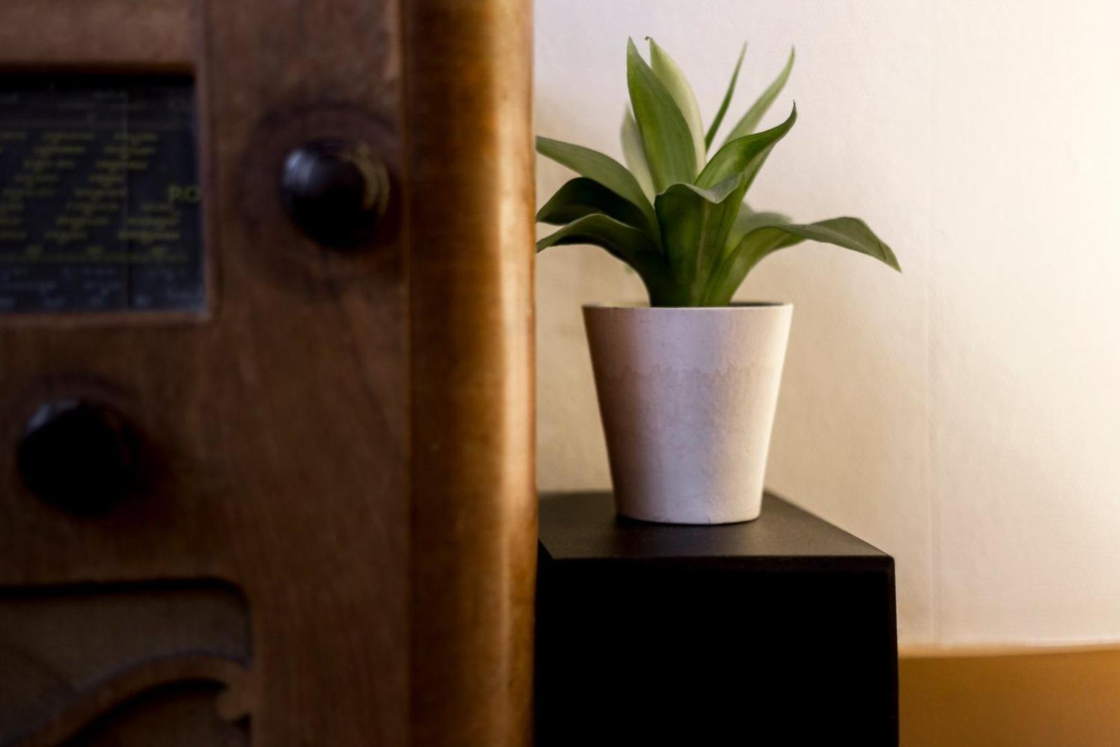Apartamento Authentique Au Coeur Du Vieux Ail