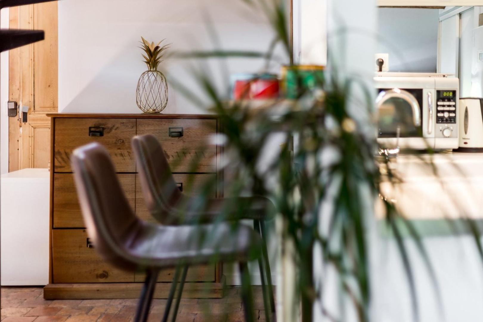 Le Loft Des Artistes De La Croix-rousse Ail Appartement Lyon