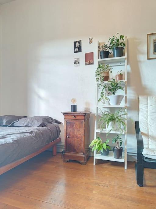 Spacieux T3 80m2 Plein Centre Presque Ile ! Appartement *