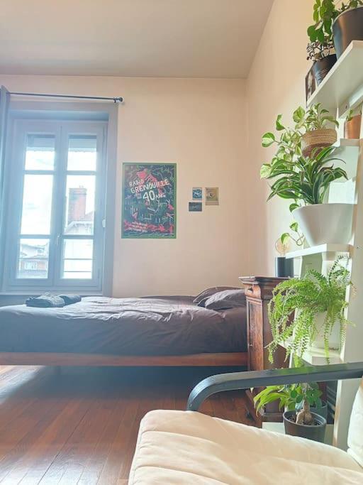 Spacieux T3 80m2 Plein Centre Presque Ile ! *