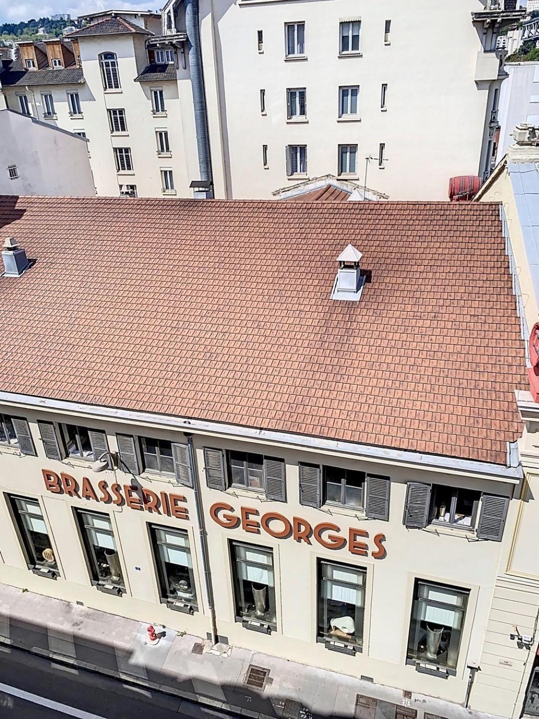 Spacieux T3 80m2 Plein Centre Presque Ile ! Appartement Lyon