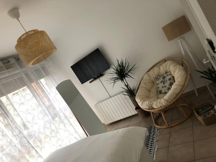 Apartment Cosy, Lyon, Avec Garage Prive *