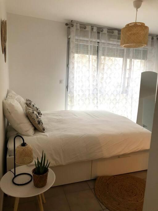 Apartment Cosy, Lyon, Avec Garage Prive *