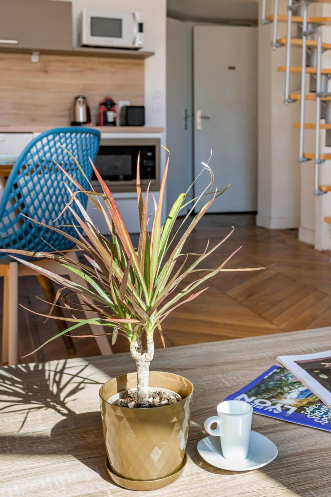 Le Royale Haussman Junior - Louis Pradel *