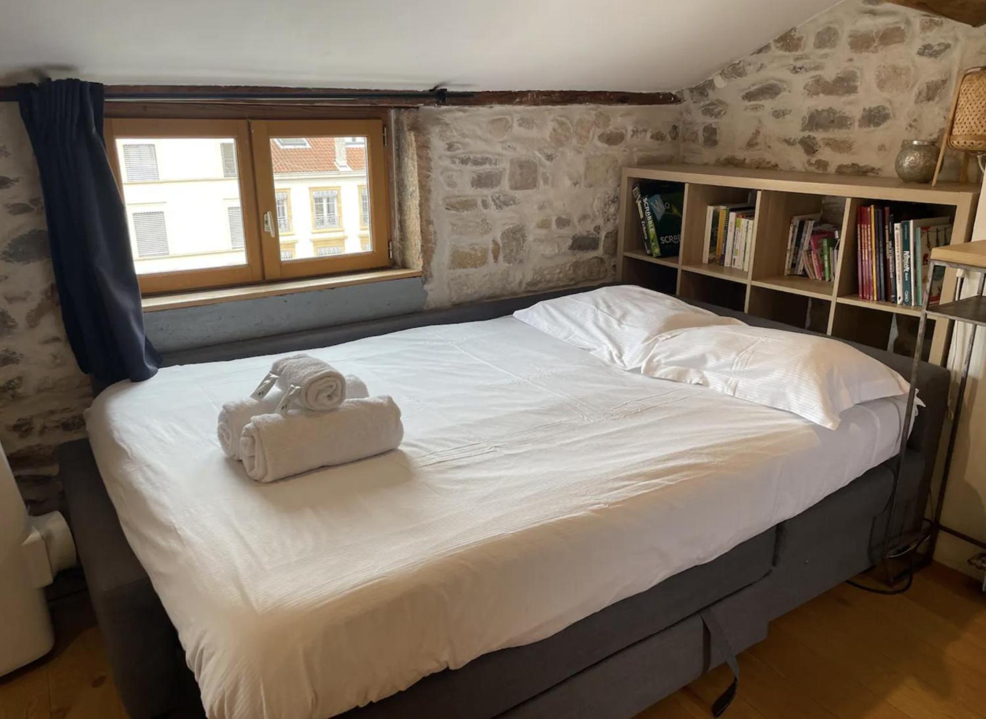 Apartamento Studio Plein Centre De - Super Vue Fourviere Lyon