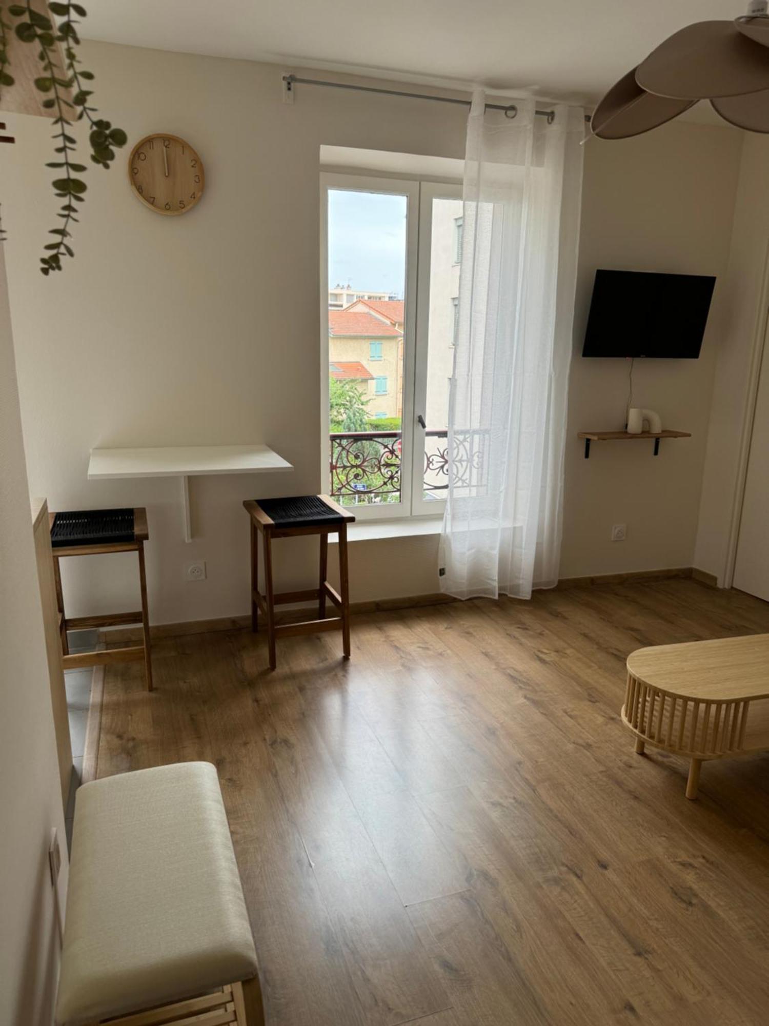 Apartment Avec Une Chambre Lyon