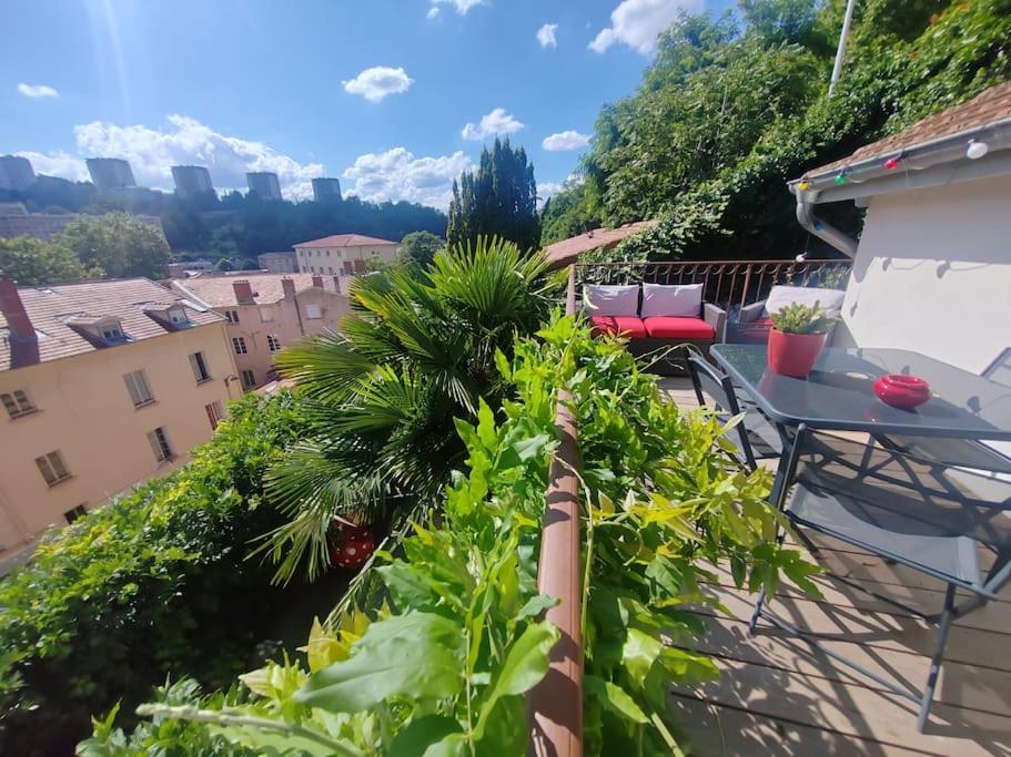 Climatise Terrasse Vue Sur Et Les Quais De Saone *