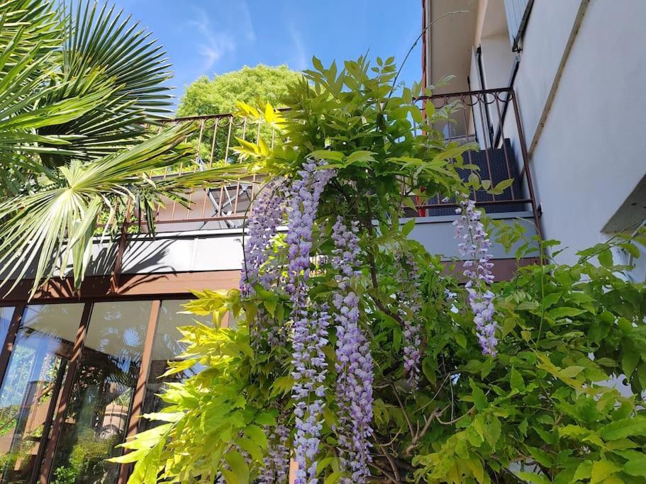 Appartement Climatise Terrasse Vue Sur Et Les Quais De Saone *