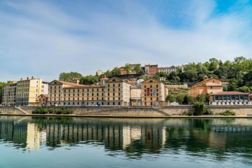 Climatise Terrasse Vue Sur Et Les Quais De Saone Appartement *