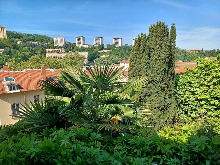 Climatise Terrasse Vue Sur Et Les Quais De Saone * Lyon
