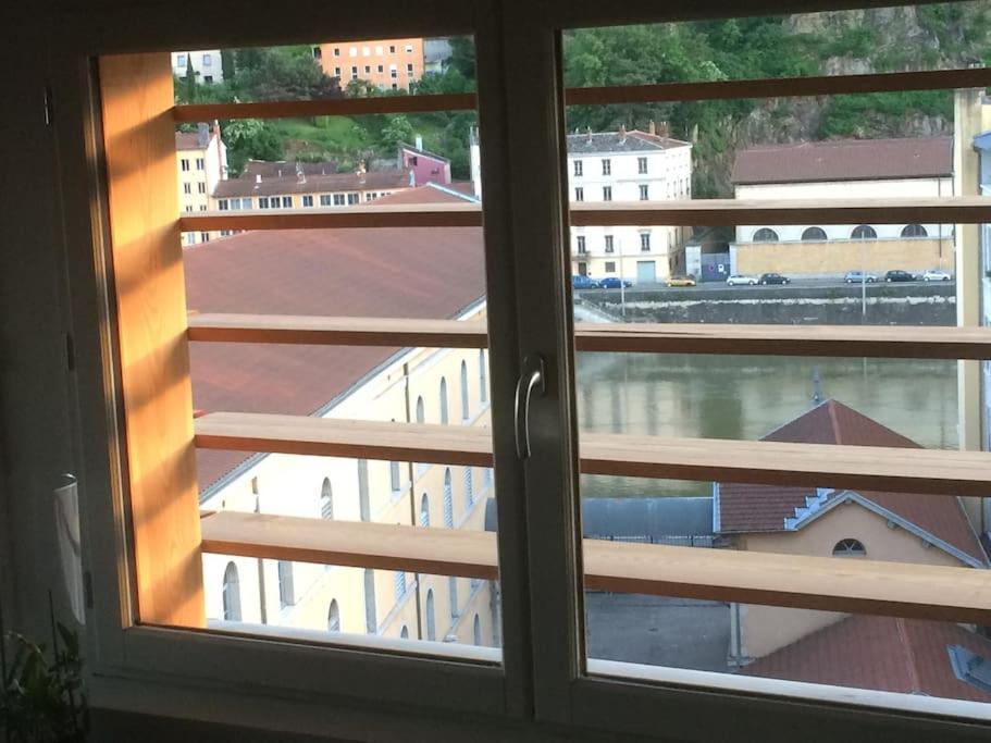 Climatise Terrasse Vue Sur Et Les Quais De Saone Appartement