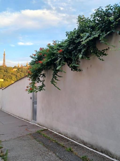 Climatise Terrasse Vue Sur Et Les Quais De Saone Appartement *